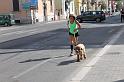IMG_3687