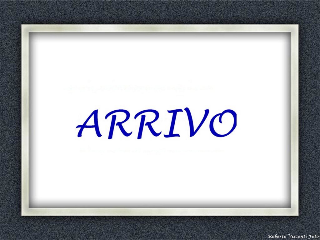acciaio26_032.jpg