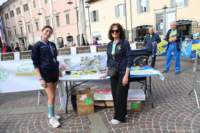 acciaio26_033_small.jpg