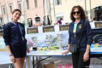 acciaio26_034_small.jpg