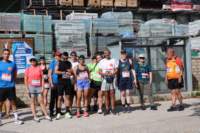 amatrice2600040_small.jpg