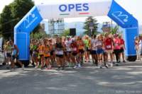 amatrice2600102_small.jpg
