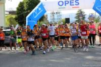 amatrice2600104_small.jpg
