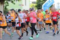 amatrice2600109_small.jpg