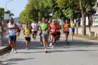 amatrice2600115_small.jpg