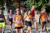 amatrice2600117_small.jpg
