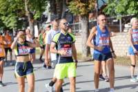 amatrice2600118_small.jpg