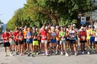 amatrice2600124_small.jpg