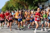 amatrice2600127_small.jpg