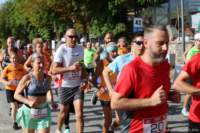 amatrice2600129_small.jpg