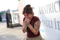 amatrice2600369_small.jpg