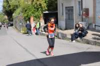 cesi_carsule24_36_small.jpg