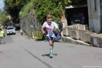 cesi_carsule24_75_small.jpg