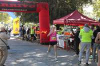 img_8598_small.jpg