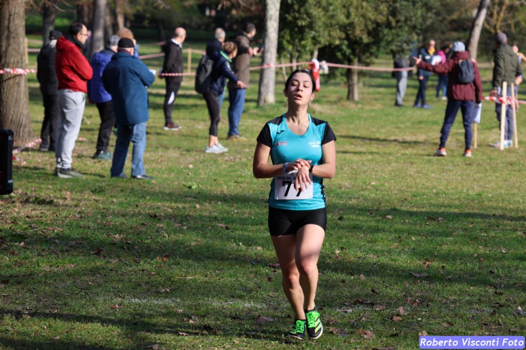 cross_dona25_004.jpg