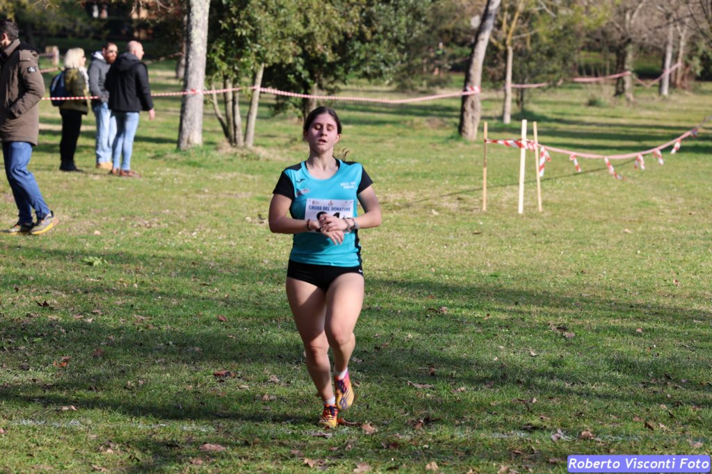 cross_dona25_050.jpg