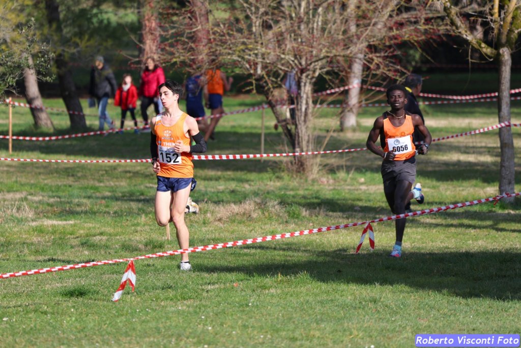 cross_dona25_079.jpg