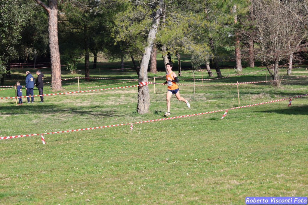 cross_dona25_095.jpg