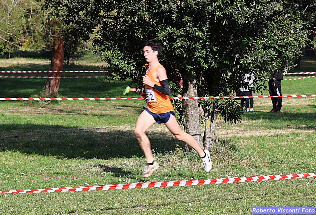 cross_dona25_002.jpg