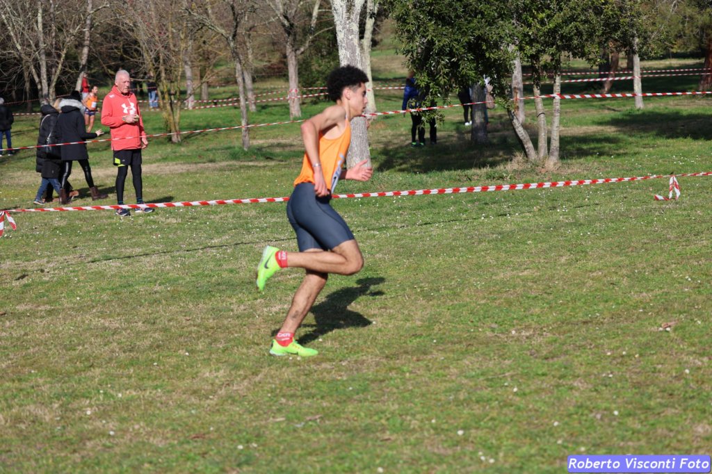 cross_dona25_028.jpg