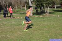 cross_dona25_028_small.jpg