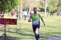 cross_dona25_001_small.jpg