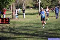 cross_dona25_003_small.jpg