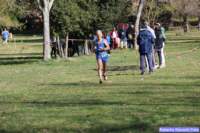 cross_dona25_009_small.jpg