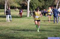 cross_dona25_012_small.jpg