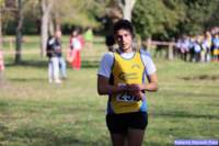 cross_dona25_014_small.jpg