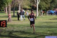 cross_dona25_023_small.jpg