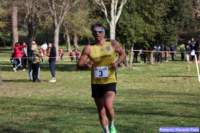 cross_dona25_028_small.jpg