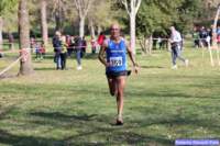 cross_dona25_034_small.jpg
