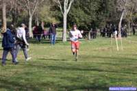 cross_dona25_036_small.jpg