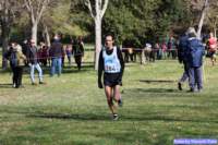 cross_dona25_041_small.jpg