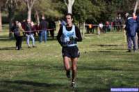 cross_dona25_042_small.jpg