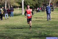 cross_dona25_043_small.jpg