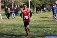 cross_dona25_044_small.jpg