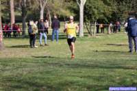 cross_dona25_046_small.jpg