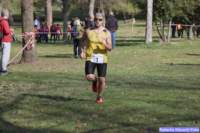 cross_dona25_047_small.jpg