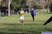 cross_dona25_052_small.jpg