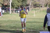 cross_dona25_053_small.jpg