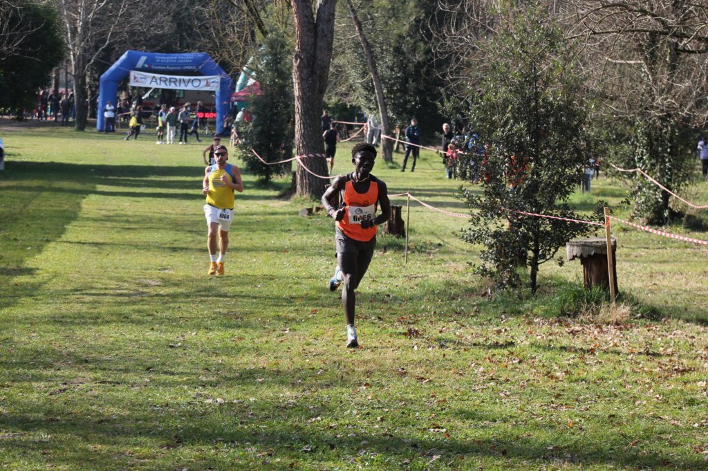 img_6625.jpg