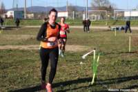cross24_04_small.jpg