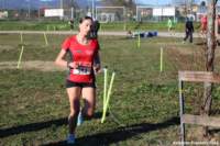 cross24_05_small.jpg