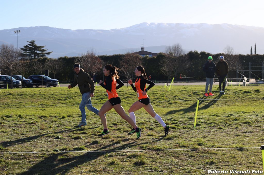 cross24_06.jpg