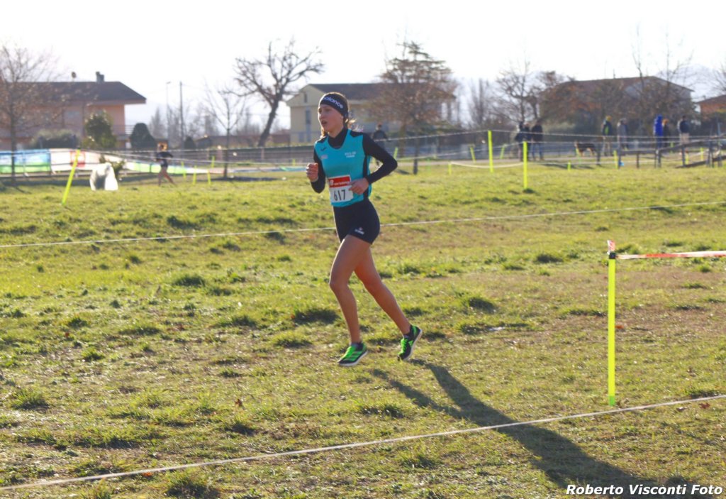 cross24_07.jpg