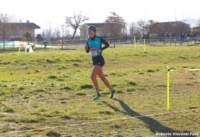 cross24_07_small.jpg