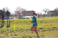 cross24_08_small.jpg