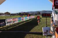 cross24_09_small.jpg